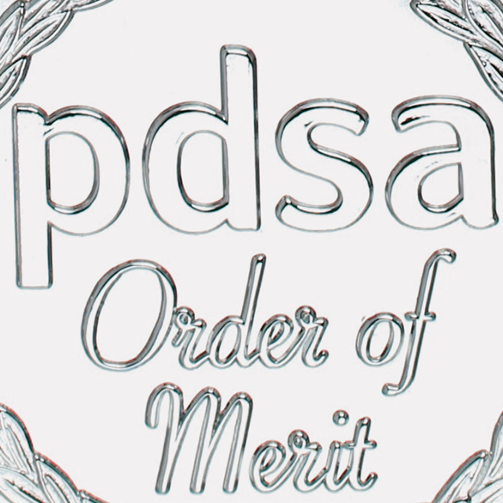 Order of Merit Citation Medal splash